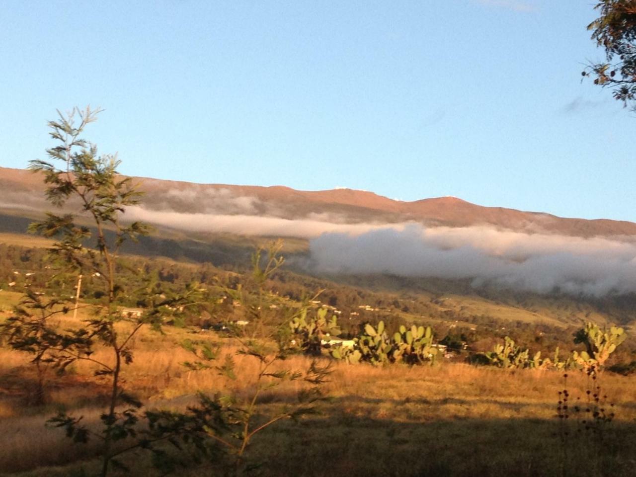 Ha'Le Kiana Bed & Breakfast Kula Exterior foto
